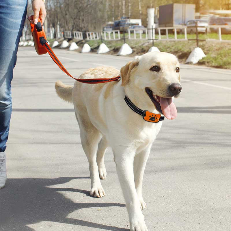 Rechargeable Anti-Bark Collar - Humane No Shock Training Device with Vibration and Sound, USB Ultrasonic Barking Collar for Small, Medium, and Large Dogs